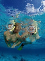 Queensland great Barrier Reef Accommodation Port Douglas