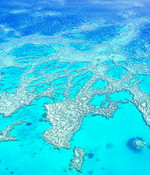Great Barrier Reef Australia Information - Tourism Queensland supplied image
