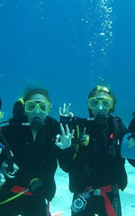 Great Barrier Reef tour information
